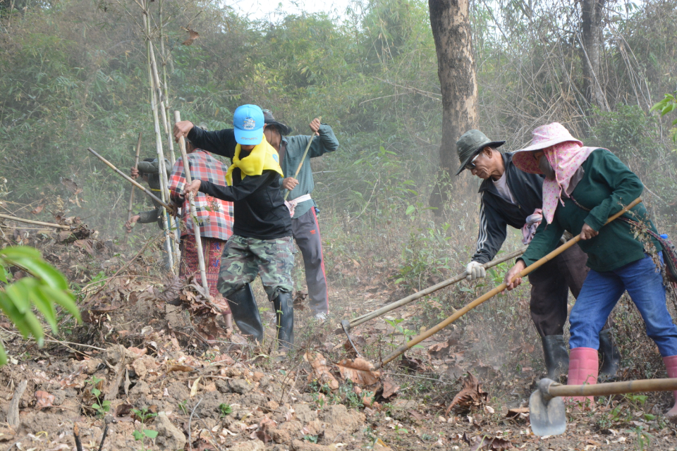 ทำแนวกันไฟเพื่อป้องกันไฟป่า - เทศบาลตำบลสันทราย อำเภอฝาง จังหวัดเชียงใหม่
