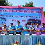 มหกรรมสุขภาพ
