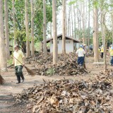 โครงการวันเทศบาล ประจำปี ๒๕๖๖