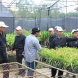 โครงการศึกษาดูงาน