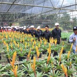 โครงการศึกษาดูงาน