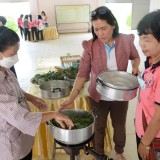 โครงการฝึกอบรมเชิงปฏิบัติการสมุนไพรไล่ยุง ของกลุ่มสตรีแม่บ้านตำบลสันทราย