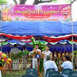 ประเพณีหล่อเทียนพรรษาประจำปี 2559
