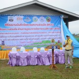 โครงการปรับปรุงภูมิทัศน์ข้างทางถนนสายรอง สร้างถนนสีขาวอย่างยั่งยืนแบบบูรณาการ (ถนนสันต้นดู่สีขาว)