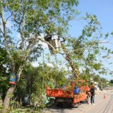 โครงการปรับปรุงภูมิทัศน์ข้างทางถนนสายรอง สร้างถนนสีขาวอย่างยั่งยืนแบบบูรณาการ (ถนนสันต้นดู่สีขาว)