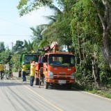 โครงการปรับปรุงภูมิทัศน์ข้างทางถนนสายรอง สร้างถนนสีขาวอย่างยั่งยืนแบบบูรณาการ (ถนนสันต้นดู่สีขาว)