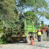 โครงการปรับปรุงภูมิทัศน์ข้างทางถนนสายรอง สร้างถนนสีขาวอย่างยั่งยืนแบบบูรณาการ (ถนนสันต้นดู่สีขาว)