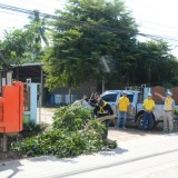 โครงการปรับปรุงภูมิทัศน์ข้างทางถนนสายรอง สร้างถนนสีขาวอย่างยั่งยืนแบบบูรณาการ (ถนนสันต้นดู่สีขาว)