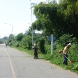 โครงการปรับปรุงภูมิทัศน์ข้างทางถนนสายรอง สร้างถนนสีขาวอย่างยั่งยืนแบบบูรณาการ (ถนนสันต้นดู่สีขาว)