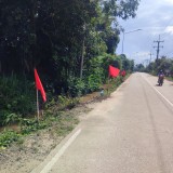 โครงการปรับปรุงภูมิทัศน์ข้างทางถนนสายรอง สร้างถนนสีขาวอย่างยั่งยืนแบบบูรณาการ (ถนนสันต้นดู่สีขาว)