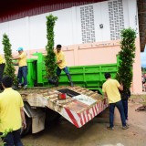 โครงการท้องถิ่นอาสา ปลูกป่า เฉลิมพระเกียรติ 