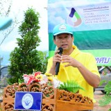 โครงการท้องถิ่นอาสา ปลูกป่า เฉลิมพระเกียรติ 