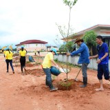 โครงการท้องถิ่นอาสา ปลูกป่า เฉลิมพระเกียรติ 