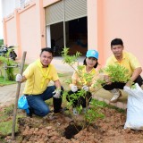 โครงการท้องถิ่นอาสา ปลูกป่า เฉลิมพระเกียรติ 