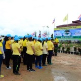 โครงการท้องถิ่นอาสา ปลูกป่า เฉลิมพระเกียรติ 