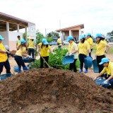 โครงการท้องถิ่นอาสา ปลูกป่า เฉลิมพระเกียรติ 