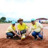 โครงการท้องถิ่นอาสา ปลูกป่า เฉลิมพระเกียรติ 
