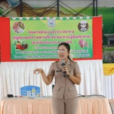 โครงการฝึกอบรมสุขาภิบาลอาหารแก่ผู้ประกอบกิจการสถานที่จำหน่ายอาหาร (ผู้สัมผัสอาหาร) ประจำปีงบประมาณ พ.ศ. ๒๕๖๙ 
