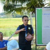 กิจกรรมประชุม เสวนา หารือ แนวทางการดำเนินงาน ครั้งที่ ๑ ภายใต้โครงการคลองสวย น้ำใส ไร้ขยะ ชุมชนมีสุข ประจำปีงบประมาณ พ.ศ. ๒๕๖๗