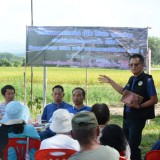 กิจกรรมประชุม เสวนา หารือ แนวทางการดำเนินงาน ครั้งที่ ๑ ภายใต้โครงการคลองสวย น้ำใส ไร้ขยะ ชุมชนมีสุข ประจำปีงบประมาณ พ.ศ. ๒๕๖๗