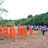 เข้าร่วมโครงการปลูกต้นไม้เพิ่มพื้นที่สีเขียวในวัด 