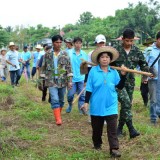 โครงการปลูกต้นไม้ 12 สิงหามหาราชินี