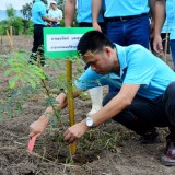 โครงการปลูกต้นไม้ 12 สิงหามหาราชินี