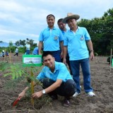 โครงการปลูกต้นไม้ 12 สิงหามหาราชินี