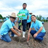 โครงการปลูกต้นไม้ 12 สิงหามหาราชินี