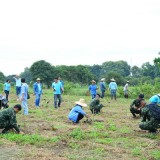 โครงการปลูกต้นไม้ 12 สิงหามหาราชินี