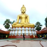 โครงการจิตอาสาพัฒนาวัด ประจำปีงบประมาณ พ.ศ. ๒๕๖๖