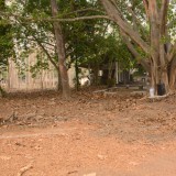 กิจกรรม Big cleaning day เก็บกวาดใบไม้ใส่เสวียน รดน้ำต้นไม้ และฉีดพ่นละอองฝอยสร้างความชุ่มชื่นในอากาศ เพื่อลดฝุ่นละอองขนาดเล็ก ( PM 2.5 )