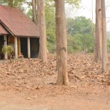 กิจกรรม Big cleaning day เก็บกวาดใบไม้ใส่เสวียน รดน้ำต้นไม้ และฉีดพ่นละอองฝอยสร้างความชุ่มชื่นในอากาศ เพื่อลดฝุ่นละอองขนาดเล็ก ( PM 2.5 )