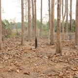 กิจกรรม Big cleaning day เก็บกวาดใบไม้ใส่เสวียน รดน้ำต้นไม้ และฉีดพ่นละอองฝอยสร้างความชุ่มชื่นในอากาศ เพื่อลดฝุ่นละอองขนาดเล็ก ( PM 2.5 )