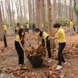 กิจกรรม Big cleaning day เก็บกวาดใบไม้ใส่เสวียน รดน้ำต้นไม้ และฉีดพ่นละอองฝอยสร้างความชุ่มชื่นในอากาศ เพื่อลดฝุ่นละอองขนาดเล็ก ( PM 2.5 )