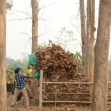กิจกรรม Big cleaning day เก็บกวาดใบไม้ใส่เสวียน รดน้ำต้นไม้ และฉีดพ่นละอองฝอยสร้างความชุ่มชื่นในอากาศ เพื่อลดฝุ่นละอองขนาดเล็ก ( PM 2.5 )