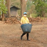 กิจกรรม Big cleaning day เก็บกวาดใบไม้ใส่เสวียน รดน้ำต้นไม้ และฉีดพ่นละอองฝอยสร้างความชุ่มชื่นในอากาศ เพื่อลดฝุ่นละอองขนาดเล็ก ( PM 2.5 )