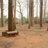 กิจกรรม Big cleaning day เก็บกวาดใบไม้ใส่เสวียน รดน้ำต้นไม้ และฉีดพ่นละอองฝอยสร้างความชุ่มชื่นในอากาศ เพื่อลดฝุ่นละอองขนาดเล็ก ( PM 2.5 )