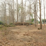 กิจกรรม Big cleaning day เก็บกวาดใบไม้ใส่เสวียน รดน้ำต้นไม้ และฉีดพ่นละอองฝอยสร้างความชุ่มชื่นในอากาศ เพื่อลดฝุ่นละอองขนาดเล็ก ( PM 2.5 )