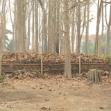 กิจกรรม Big cleaning day เก็บกวาดใบไม้ใส่เสวียน รดน้ำต้นไม้ และฉีดพ่นละอองฝอยสร้างความชุ่มชื่นในอากาศ เพื่อลดฝุ่นละอองขนาดเล็ก ( PM 2.5 )