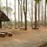 กิจกรรม Big cleaning day เก็บกวาดใบไม้ใส่เสวียน รดน้ำต้นไม้ และฉีดพ่นละอองฝอยสร้างความชุ่มชื่นในอากาศ เพื่อลดฝุ่นละอองขนาดเล็ก ( PM 2.5 )