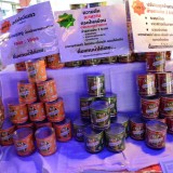 โครงการออกหน่วยเคลื่อนที่ อบจ.เชียงใหม่ บริการประชาชน ประจำปี 2558 และงานแสดงสินค้า otop และสร้างเสริมสุขภาพตำบลสุขภาวะ เทศบาลตำบลสันทราย อ.ฝาง จ.เชียงใหม่ 