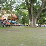 โครงการจิตอาสาพัฒนาวัด