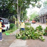 โครงการจิตอาสาพัฒนาวัด