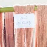 กิจกรรมอบรมเชิงปฏิบัติการย้อมผ้าด้วยสีธรรมชาติ