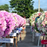 ร่วมพิธีวางพวงมาลาในกิจกรรมน้อมรำลึกเนื่องในวันคล้ายวันสวรรคตพระบาทสมเด็จพระจุลจอมเกล้าเจ้าอยู่หัว
