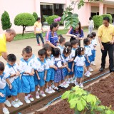 โครงการอนุรักษ์พันธุกรรมพืชอันเนื่องมาจากพระราชดำริ