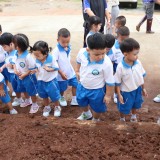 โครงการอนุรักษ์พันธุกรรมพืชอันเนื่องมาจากพระราชดำริ