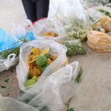 โครงการฝึกอบรมเชิงปฏิบัติการฟื้นฟูสุขภาพด้วยการอบสมุนไพร