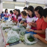 โครงการฝึกอบรมเชิงปฏิบัติการฟื้นฟูสุขภาพด้วยการอบสมุนไพร